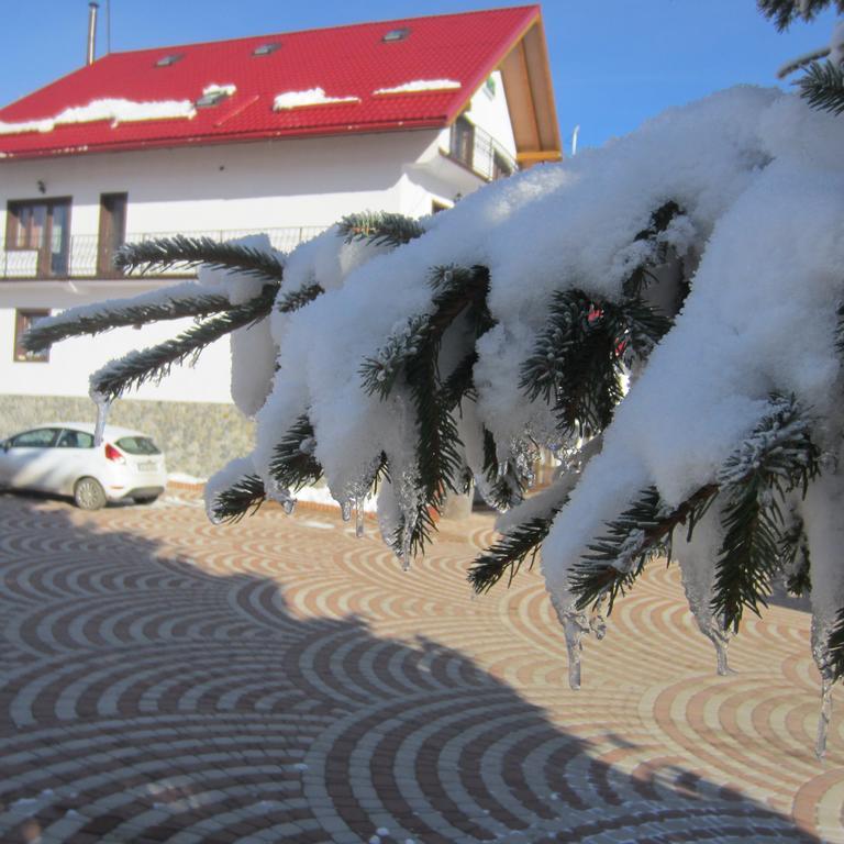 Complex Turistic Casianna & Spa Păltiniş Zewnętrze zdjęcie
